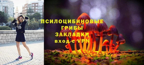 прущие крисы Алексин